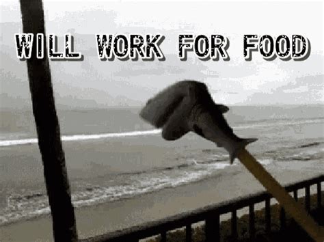 Will Work For Food GIF - WillWorkForFood - Discover & Share GIFs