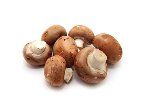 Cremini Mushrooms | planteli.com