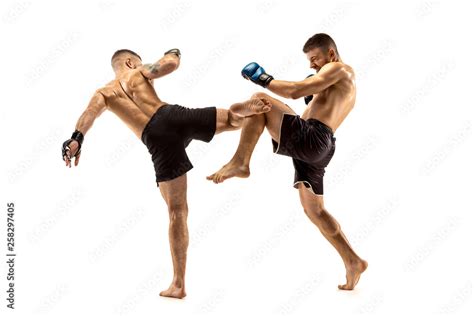mma  professional fightesr punching  boxing isolated  white