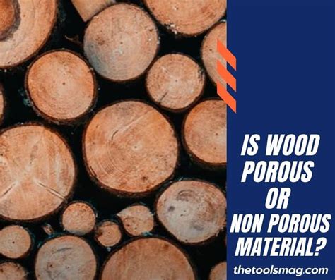 differences  porous wood   porous wood
