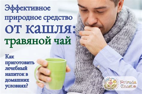 Чай от кашля: состав и способы приготовления