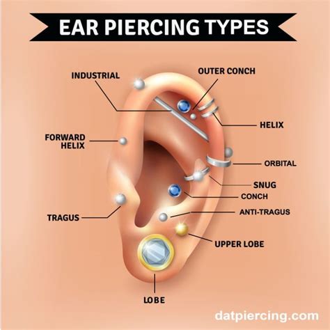 The Different Types of Ear Piercing and Their Names | Types of ear piercings, Ear piercing names ...