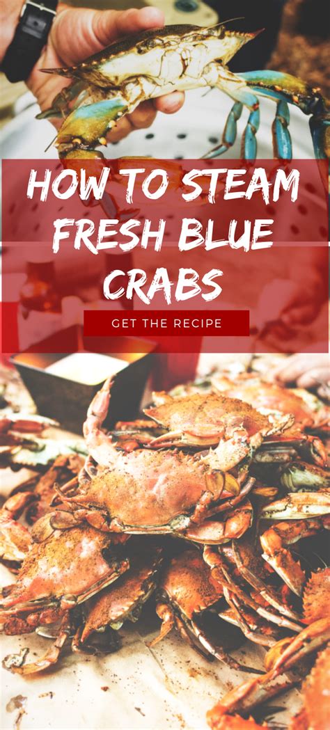 Blue crab recipes – Artofit