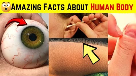 Amazing and Interesting facts about human body - YouTube