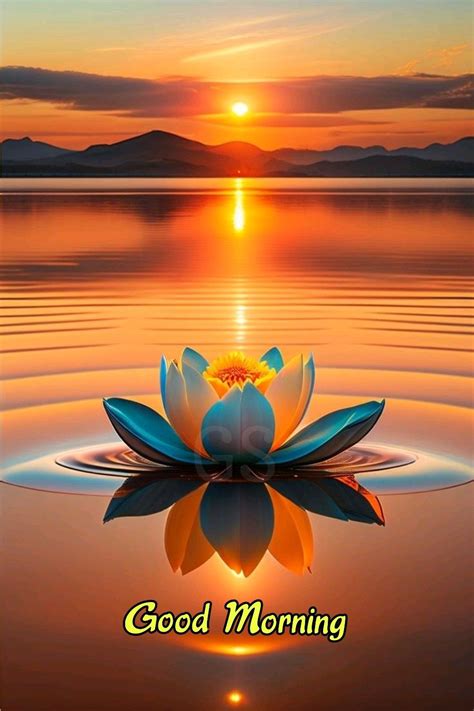 underwater good morning quotes  annabelle england blog