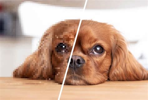 size reducer video compression software  paid