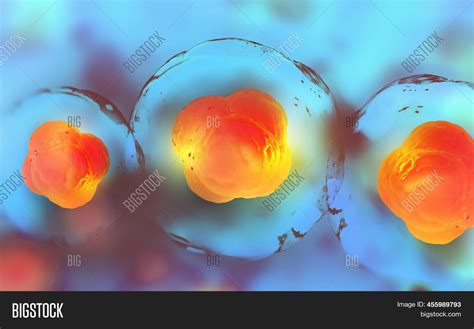 research stem cells image photo  trial bigstock
