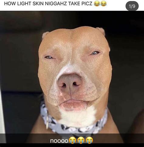 @saiiddaaaa got mo like dis 🥰! | Pets, Pitbulls, Funny