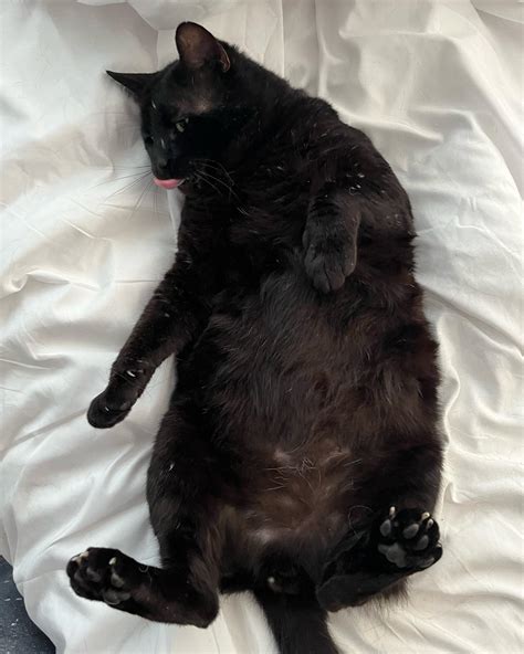 🩸𝓐𝓫𝓲𝓰𝓪𝓲𝓵🩸 (@pinkstrbwy) • Instagram photos and videos