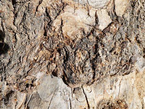 TEXTURA MADERA Stock Photo | Adobe Stock