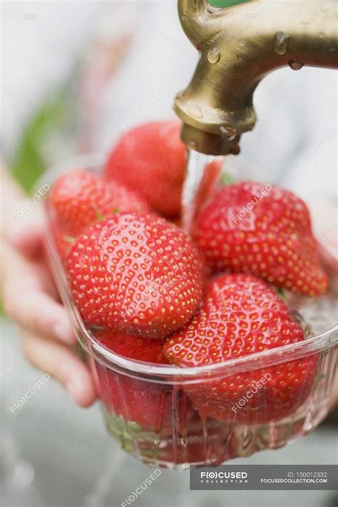 Human hands washing strawberries — diet, edible - Stock Photo | #150012332