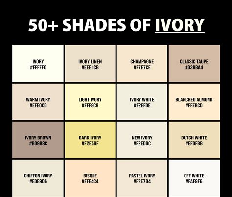 Picture Of Ivory Color Everthing About Ivory Color: An Ultimate Guide