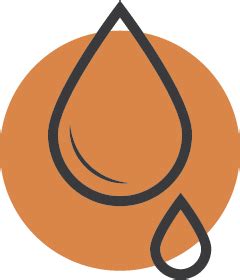 2024 Sustainable Beef Research Roadmap Workshop 