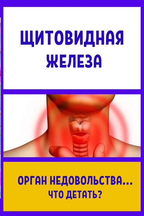 Щитовидная железа: Орган недовольства | Щитовидная железа, Эндокринная ...