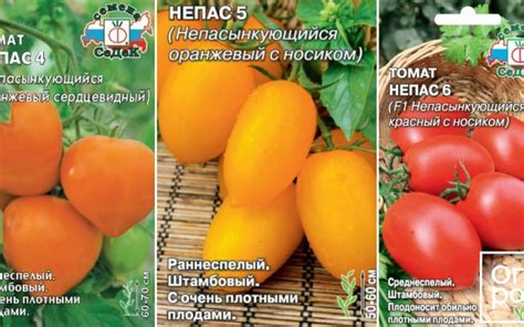 Томаты непас: отзывы, фото, характеристики, описание сорта, урожайность