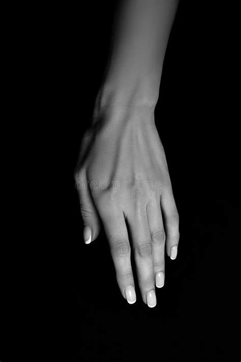 Black and White Hands Art Photography Stock Photo - Image of gesture ...