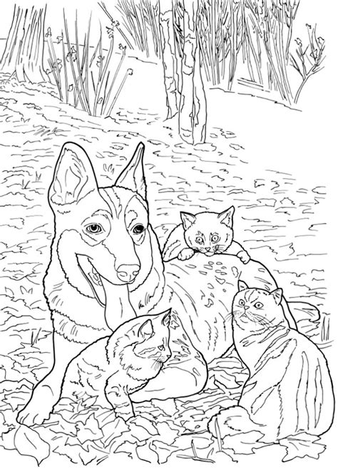 Dragonfly Treasure: Lovable Cats and Dogs Coloring Pages