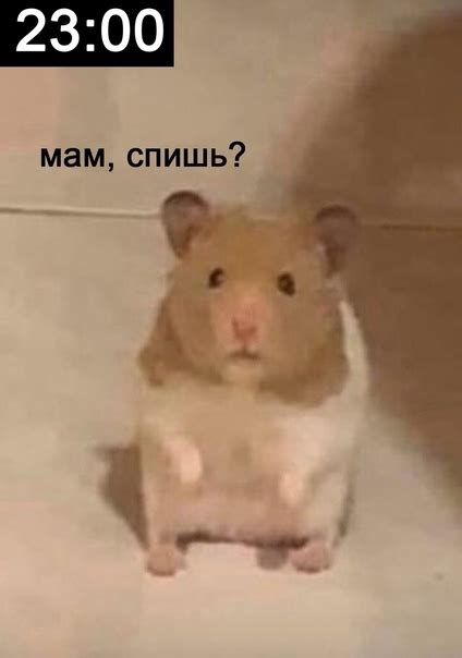 Have a good night, Fisherman. | Наше Рыбацкое | VK