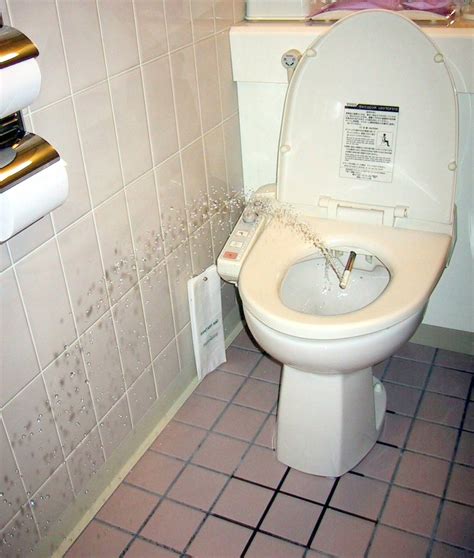 Toiletten in Japan – Wikipedia