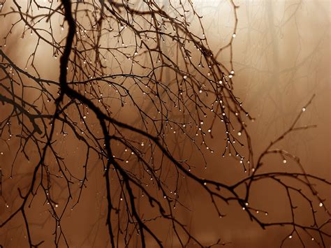 Pemandangan Hujan Waktu - Foto gratis di Pixabay - Pixabay