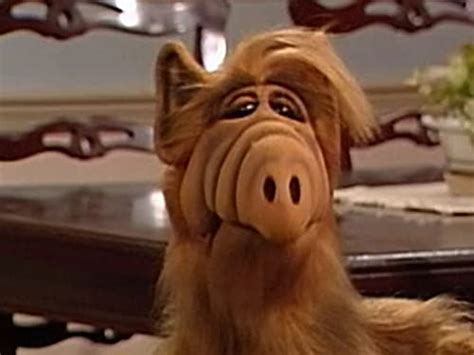 Amazon.de: ALF - Staffel 1 ansehen | Prime Video