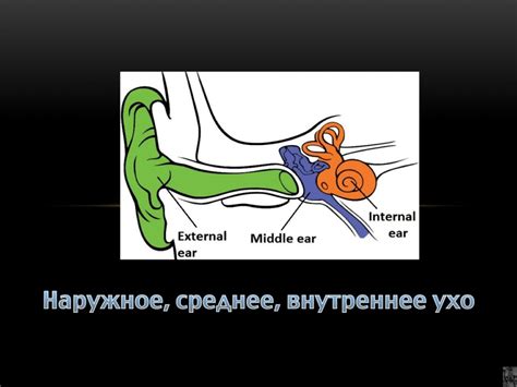Компьютерная томография височной кости