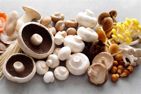 mushroom nutrition facts  health benefits arad branding