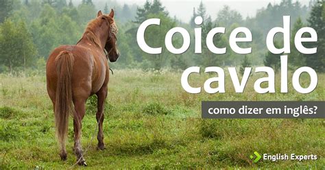Cavalo Que Nao Da Coice - 10