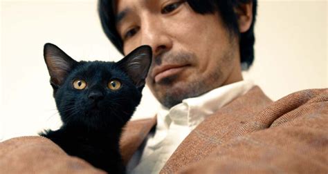 ‘Mad Cats’ Trailer: Director Reiki Tsuno Says “No More Depressing Films” & Tries To Supercharge ...