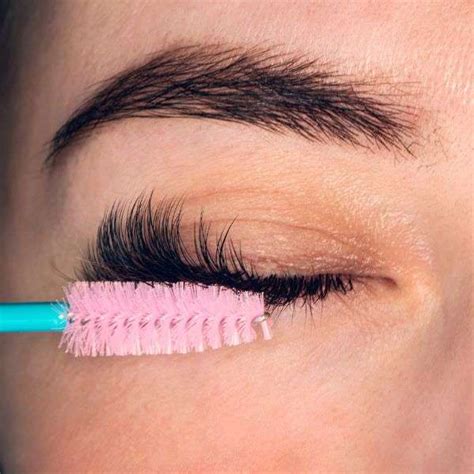 Lash Mites On Your Extensions | What You Need To Know About These Bugs ...