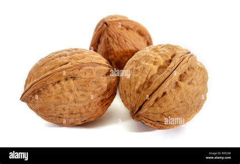 walnut  white background raw walnut  texture   shell stock