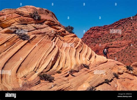 photographer  north coyote buttes paria canyon vermilion cliffs