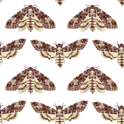 Seamless pattern with Deaths Head Hawk Moth. Nocturnal tropical