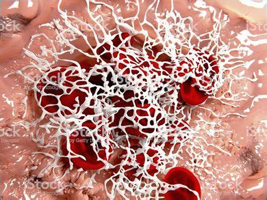 Fibrina - EcuRed