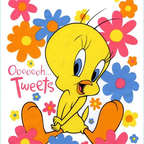 Tweety Bird Description at William Pfeffer blog