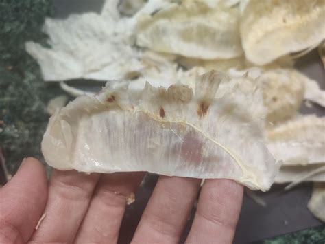 Pomelo: brown spots inside membranes : r/foodsafety