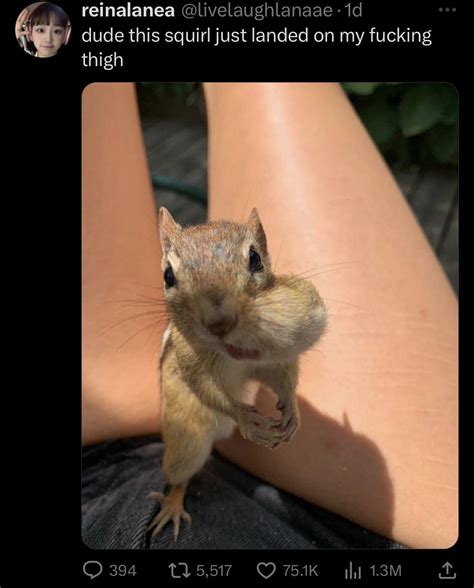 scrunkly rnonpoliticaltwitter