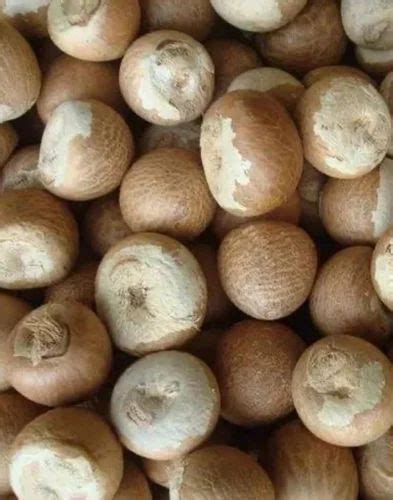 Areca Nut, Whole at Rs 180/kg in Imphal | ID: 2853439041388