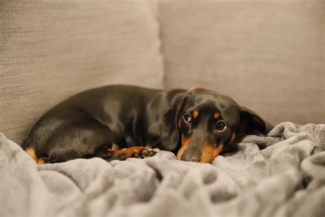 Canon EOS 6D Mark II Sample Images | Photography Blog
