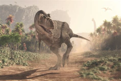 These Were the Last Dinosaurs to Walk the Earth as Asteroid Hit - Newsweek