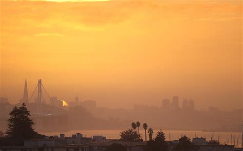 415-245-9209: What's The Dark Secret Behind This San Francisco Number? - Bam Media