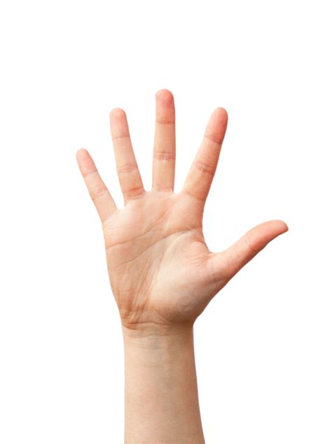 How to Improve Your Dexterity - Goldtouch