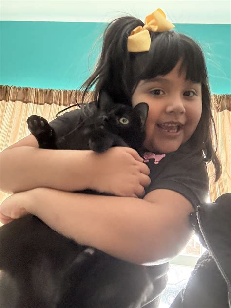 Shells – Trusted Journey Pet Memorial Services | Pet Cremation