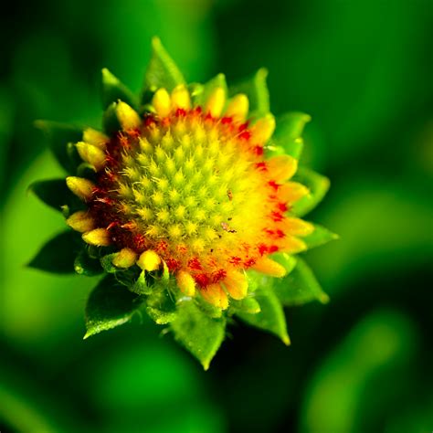 Av4+Us+Jpg Photos, Download The BEST Free Av4+Us+Jpg Stock Photos & HD