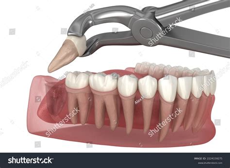 extracts images stock  vectors shutterstock