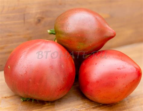 ПУРПУРНОЕ СЕРДЦЕ PURPLE HEART — BTomate