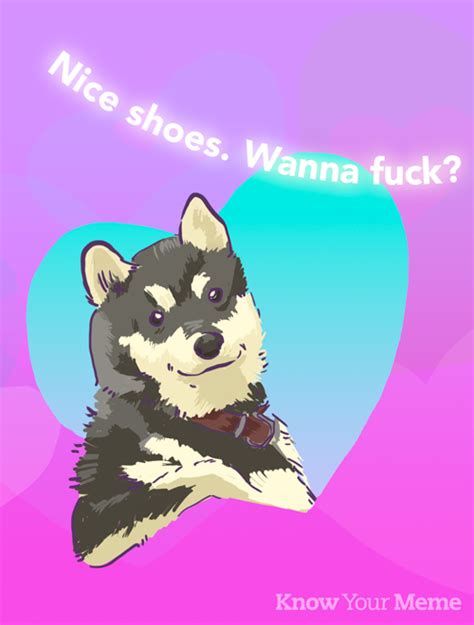 image  cool dog   meme