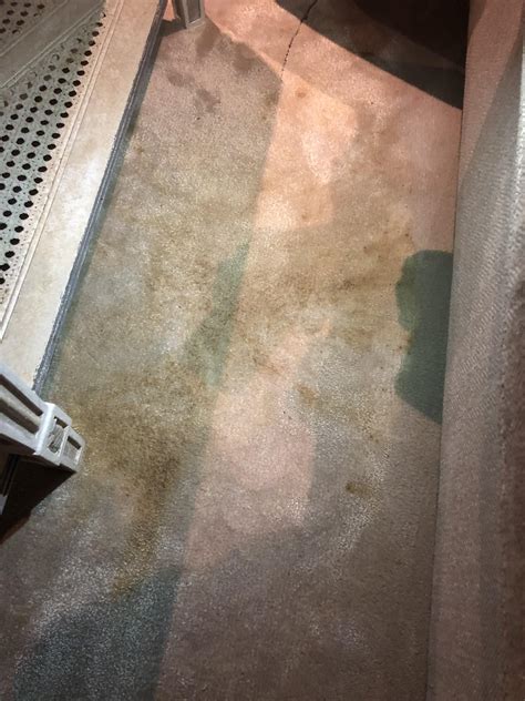 How to remove this coffee stain from a very expensive rug. We have