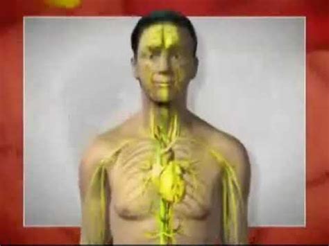 RICKETTSIOSIS - YouTube