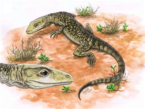 can lizard shaking indoors 10
